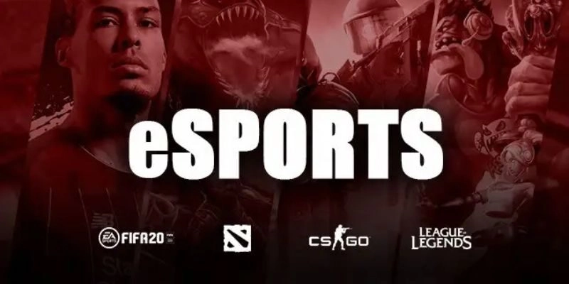 Cá Cược ESports Sunwin Có Gì Nổi Bật? Phân Tích Chi Tiết